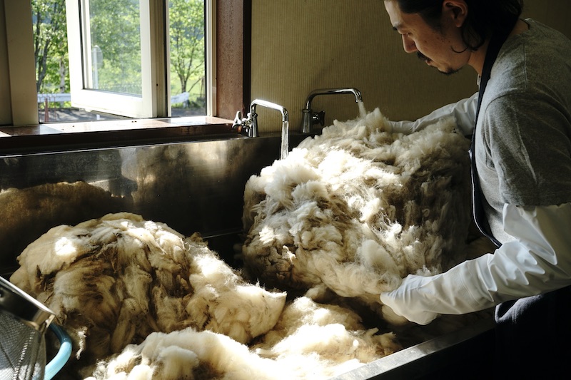 いよいよ羊毛の洗い作業